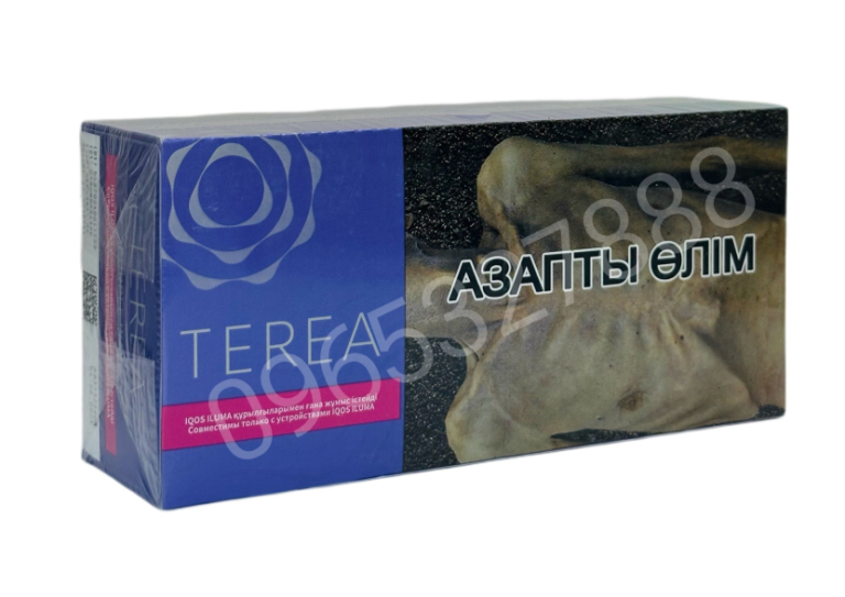 Terea Purple Kazakhstan (bạc hà nho)