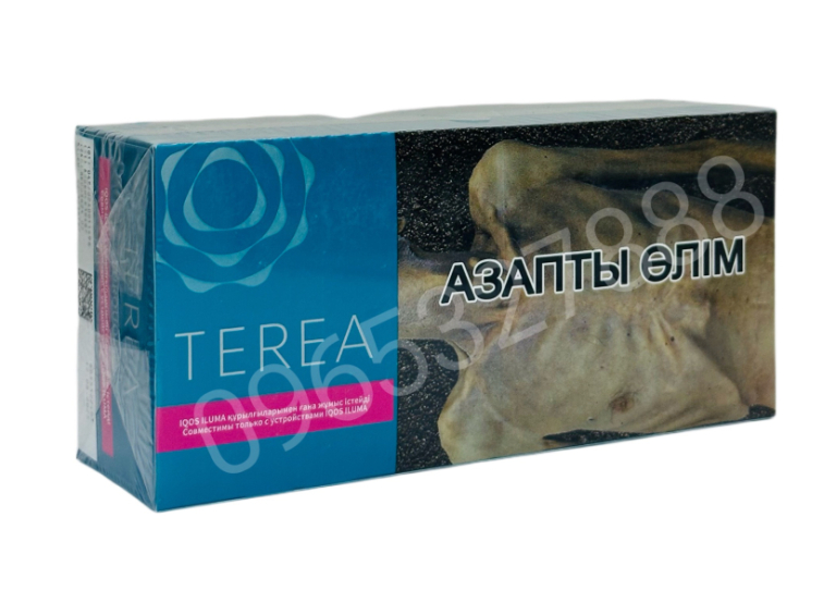 Terea Turquoise Kazakhstan (bạc hà thuần)