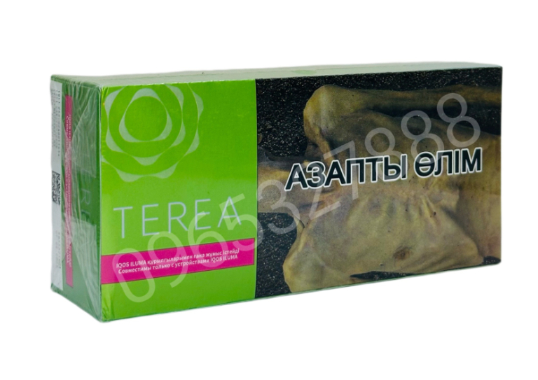 Terea GreenZing Kazakhstan (bạc hà táo)